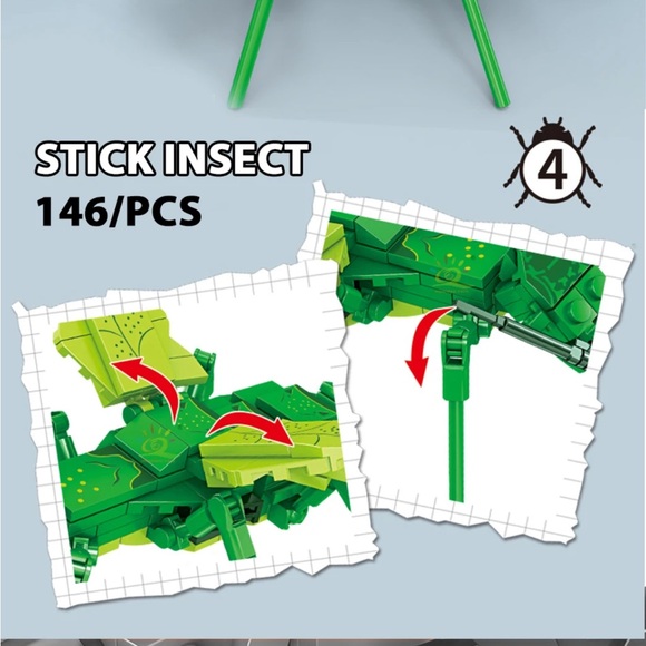 Stick Bug Insect Series Collection - Picture 2 of 5